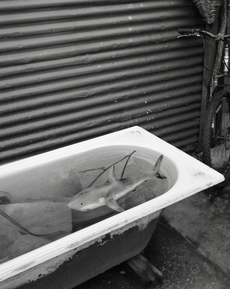 © dave carswell - Image from the Grant me the Serenity photography project