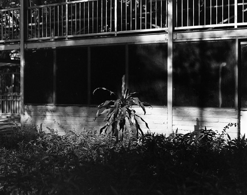 © dave carswell - Image from the Love in the time of chikungunya photography project