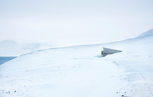 BuzzFeed News Climate Change Focus 