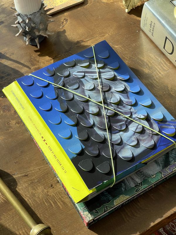 Photobook Review: El Pez Muere Por La Boca by Santiago Escobar-Jaramillo