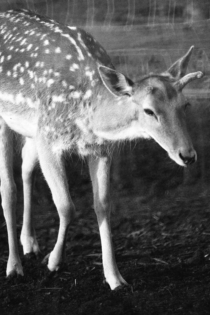 Photobook Review: Between The Skin And Sea by Katrin Koenning