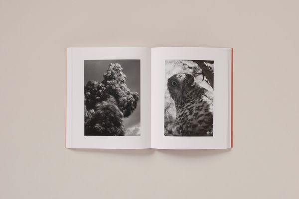 Photobook Review: Between The Skin And Sea by Katrin Koenning