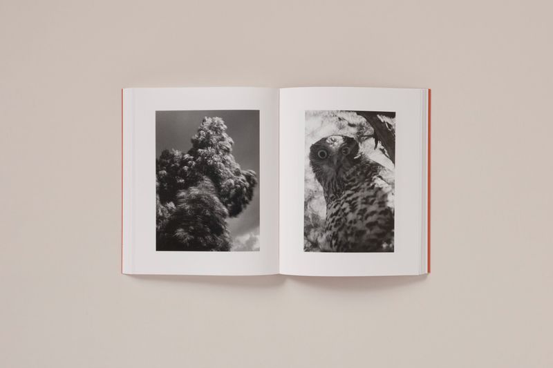 Photobook Review: Between The Skin And Sea by Katrin Koenning