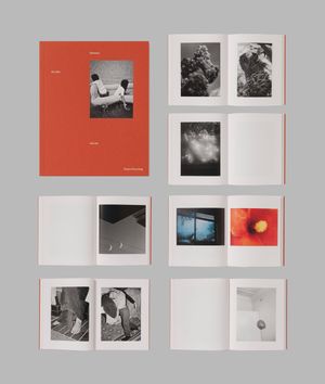 Photobook Review: Between The Skin And Sea by Katrin Koenning