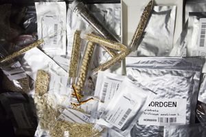 PHmuseum and Buzzfeed News On Climate Change