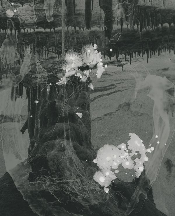 © Sarah Rhodes