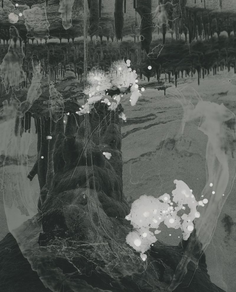 © Sarah Rhodes