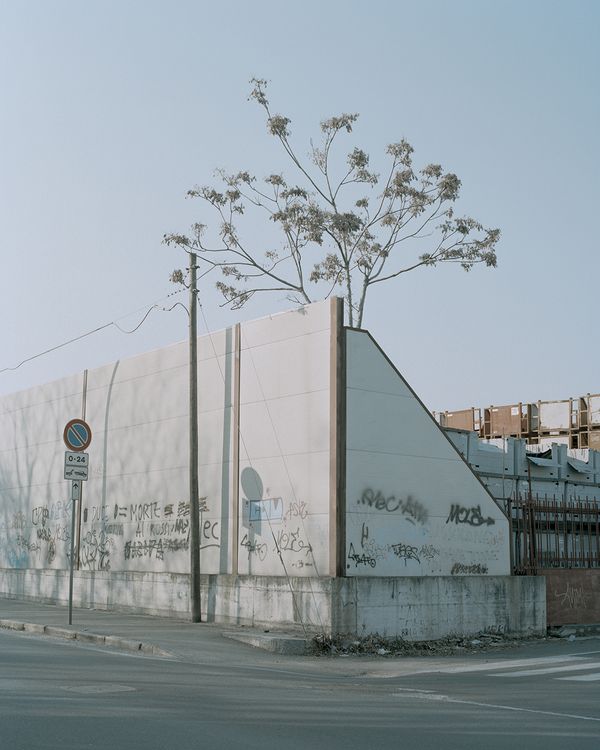© Jasmine Bruno
