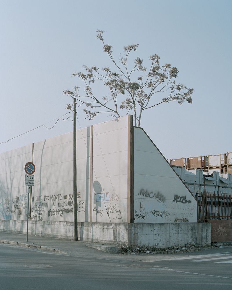 © Jasmine Bruno