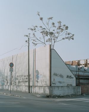 RPS International Photography Exhibition 168 Open Call