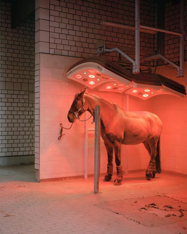 © Daniel Chatard