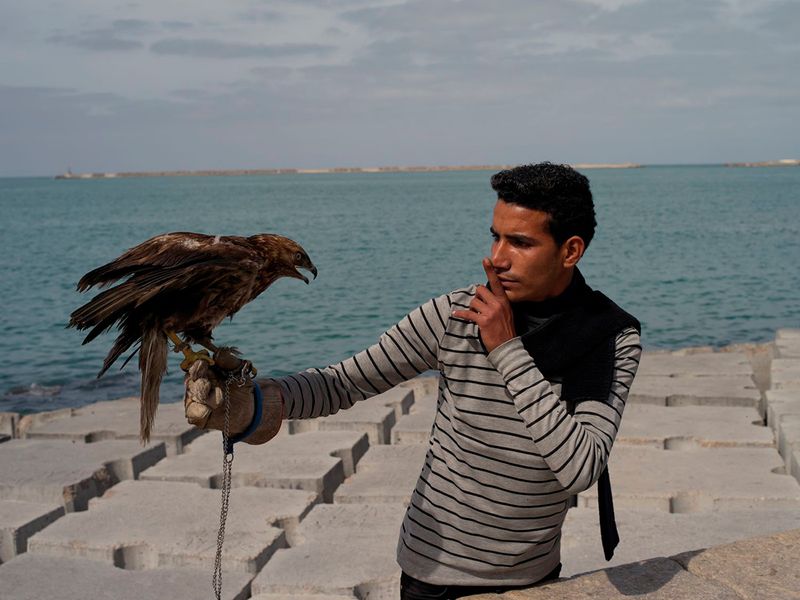© Mohamed Hassan