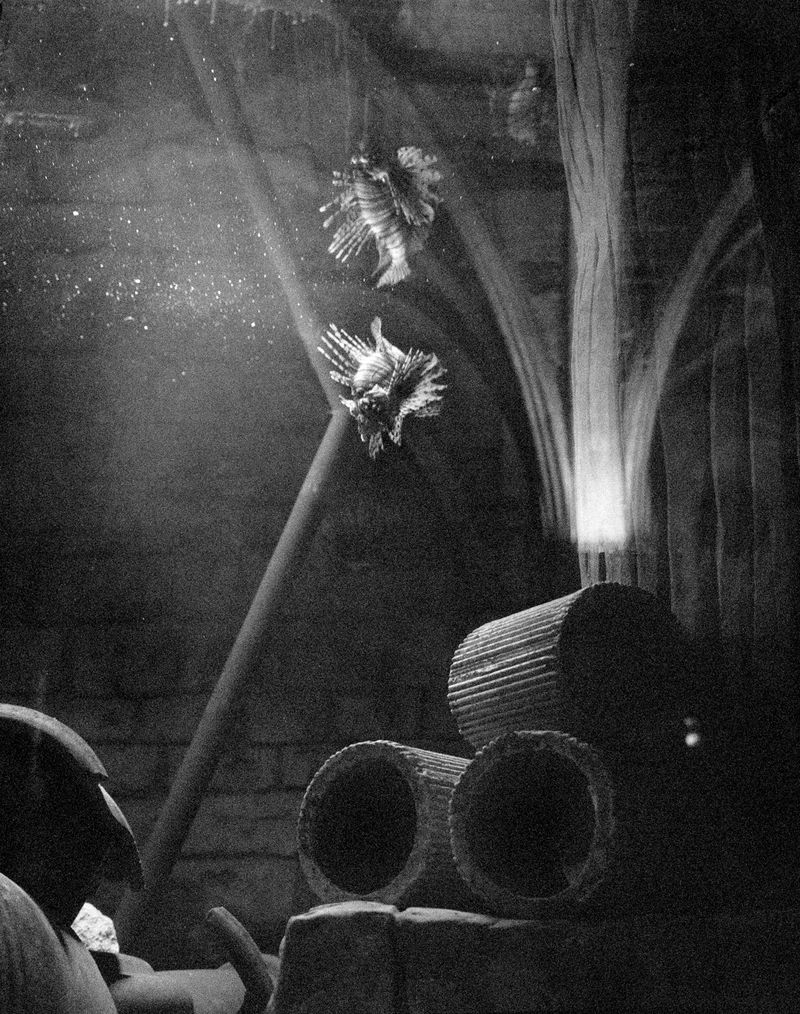 Image from a project on PhMuseum