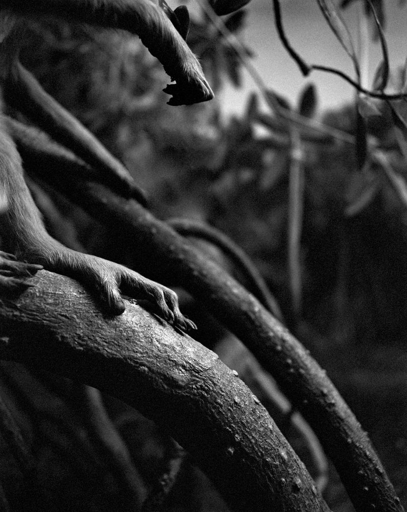 Image from a project on PhMuseum