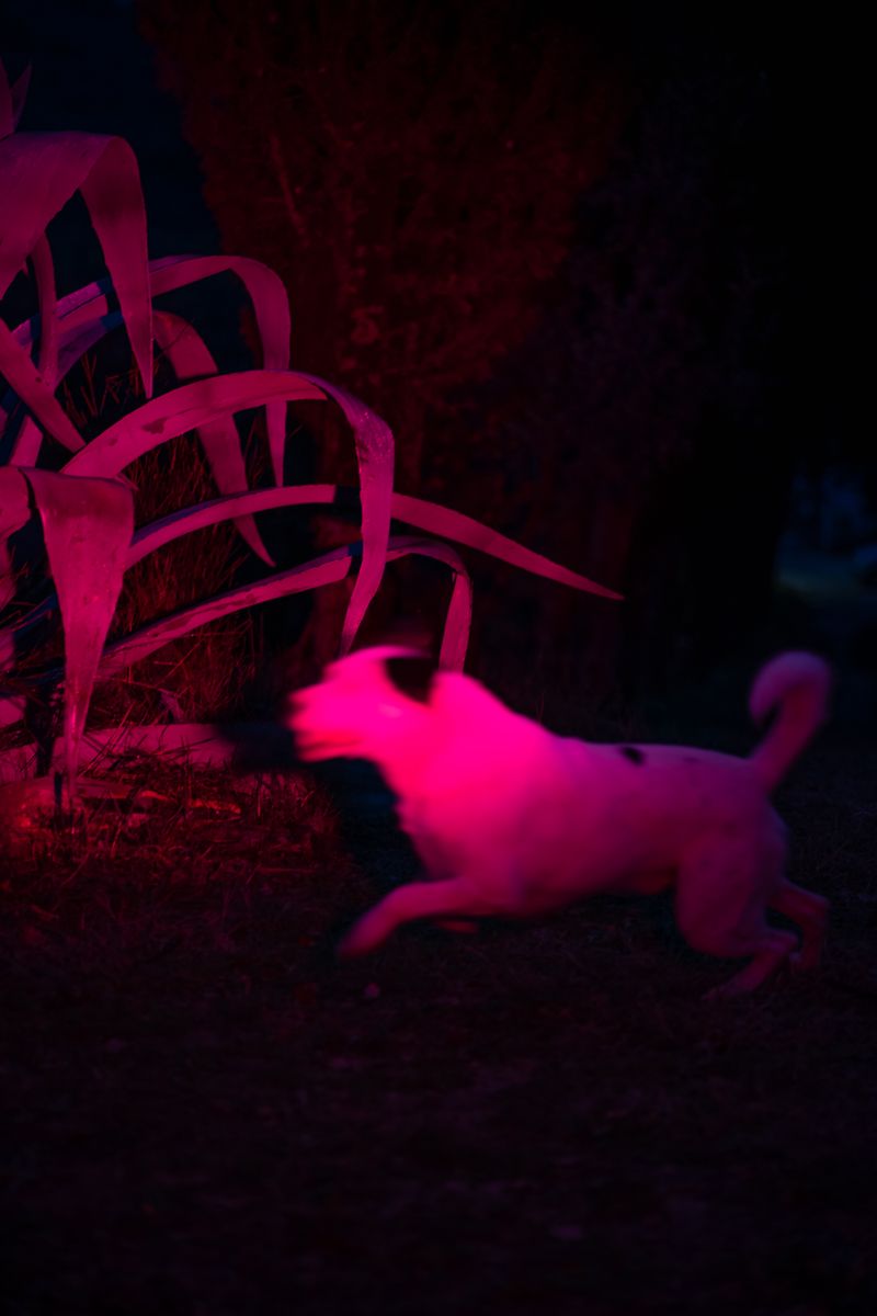 Image from a project on PhMuseum