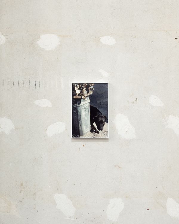 Image from a project on PhMuseum
