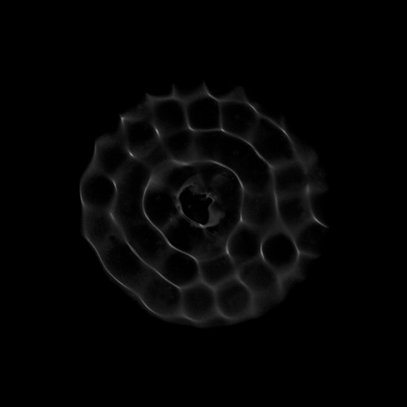 Image from a project on PhMuseum