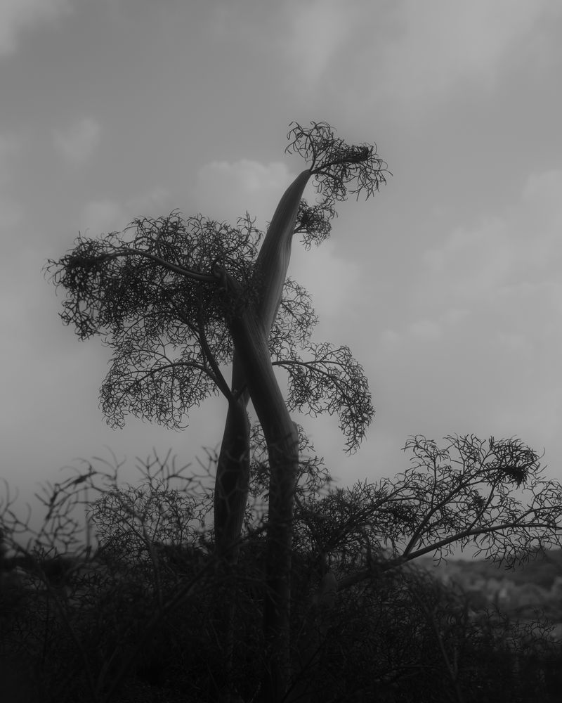 Image from a project on PhMuseum