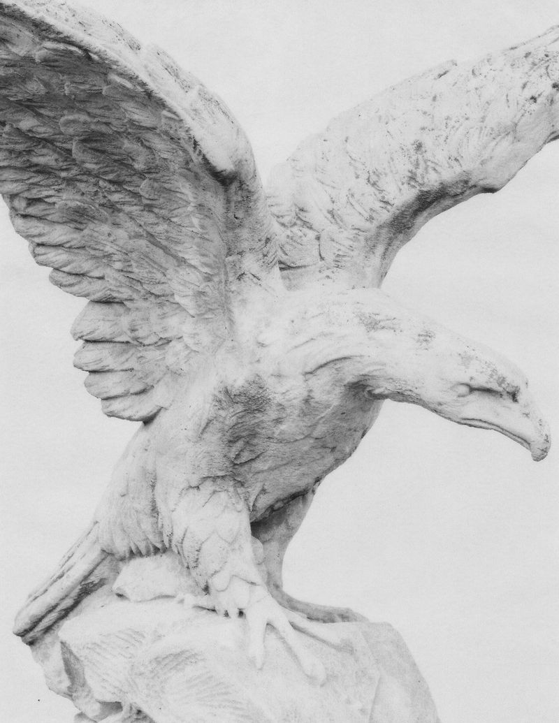 Image from a project on PhMuseum