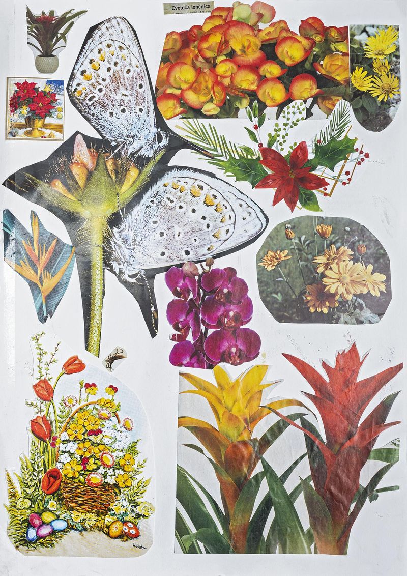 Image from a project on PhMuseum
