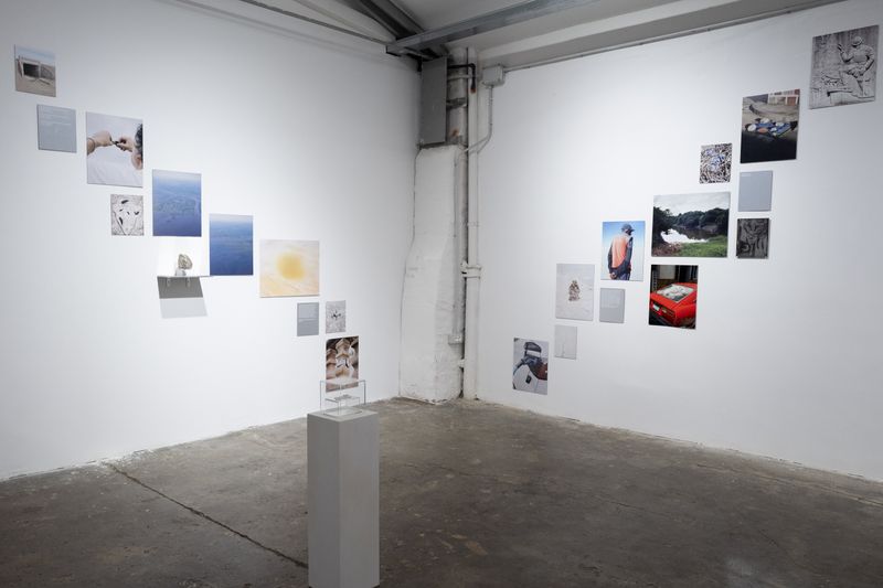 Image from a project on PhMuseum