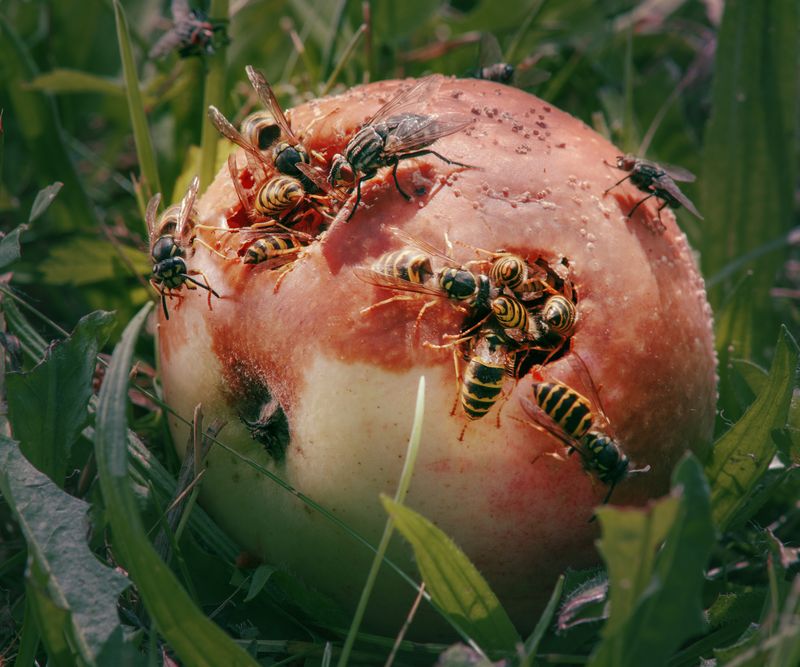 © Erli Grünzweil