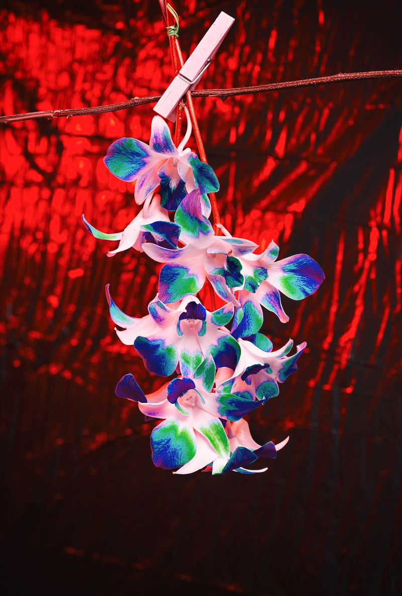 Image from a project on PhMuseum