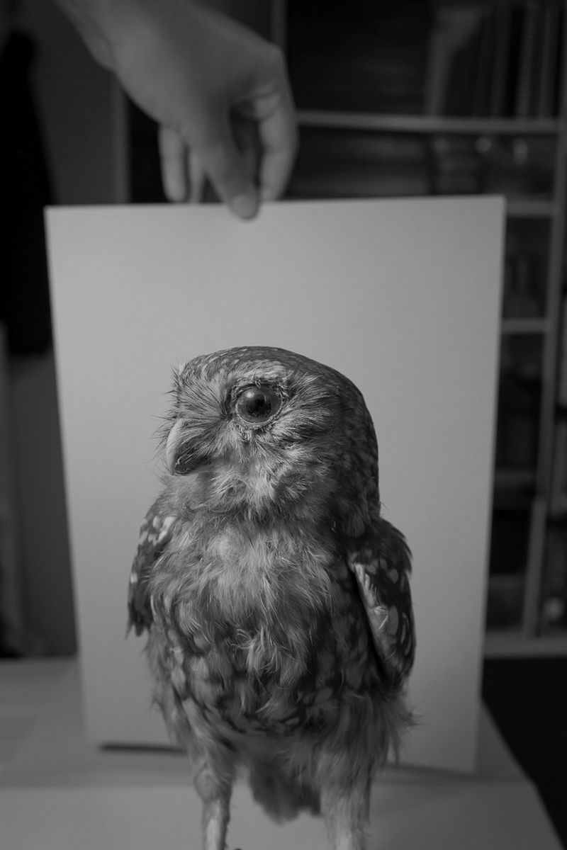 Image from a project on PhMuseum