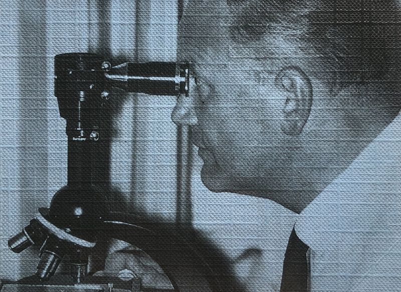 Image from a project on PhMuseum
