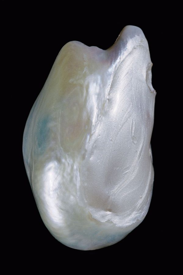 Image from a project on PhMuseum