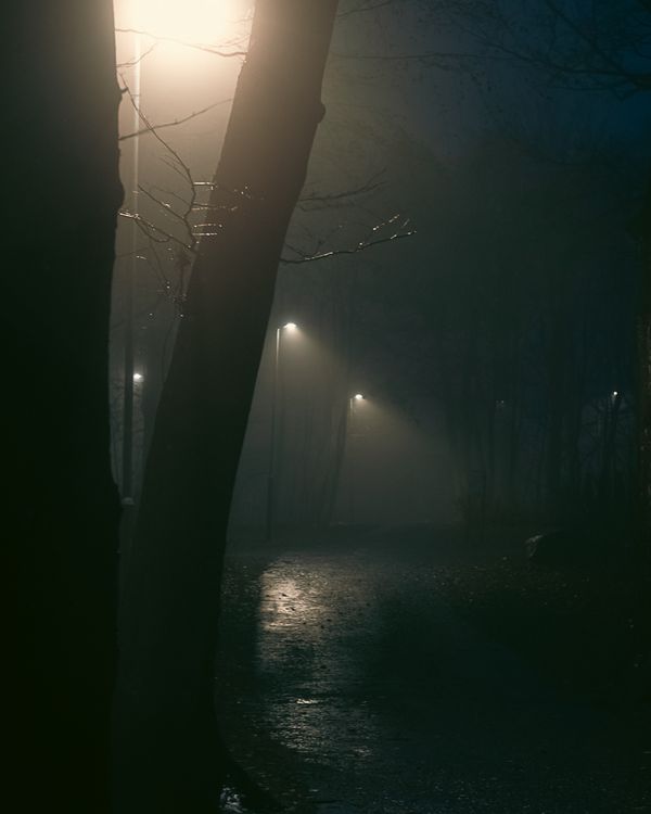 Image from a project on PhMuseum