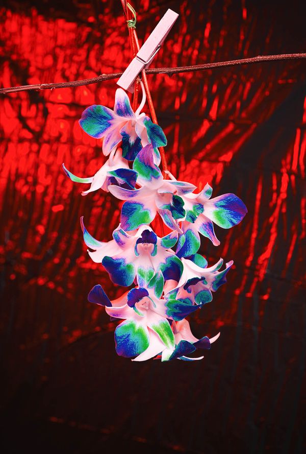 Image from a project on PhMuseum