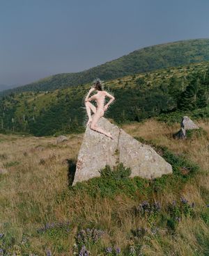 Exhibition / Slightly Altered by Synchrodogs