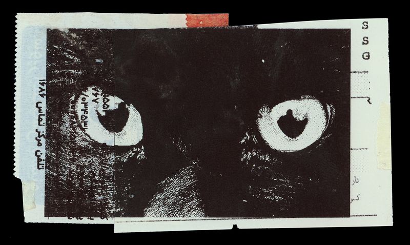 Tehran Cat N1