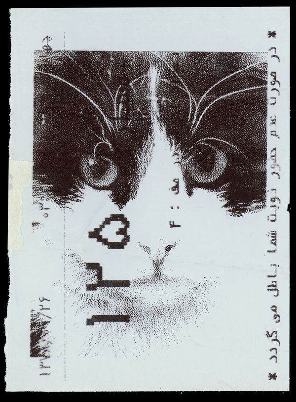 Tehran Cat N8