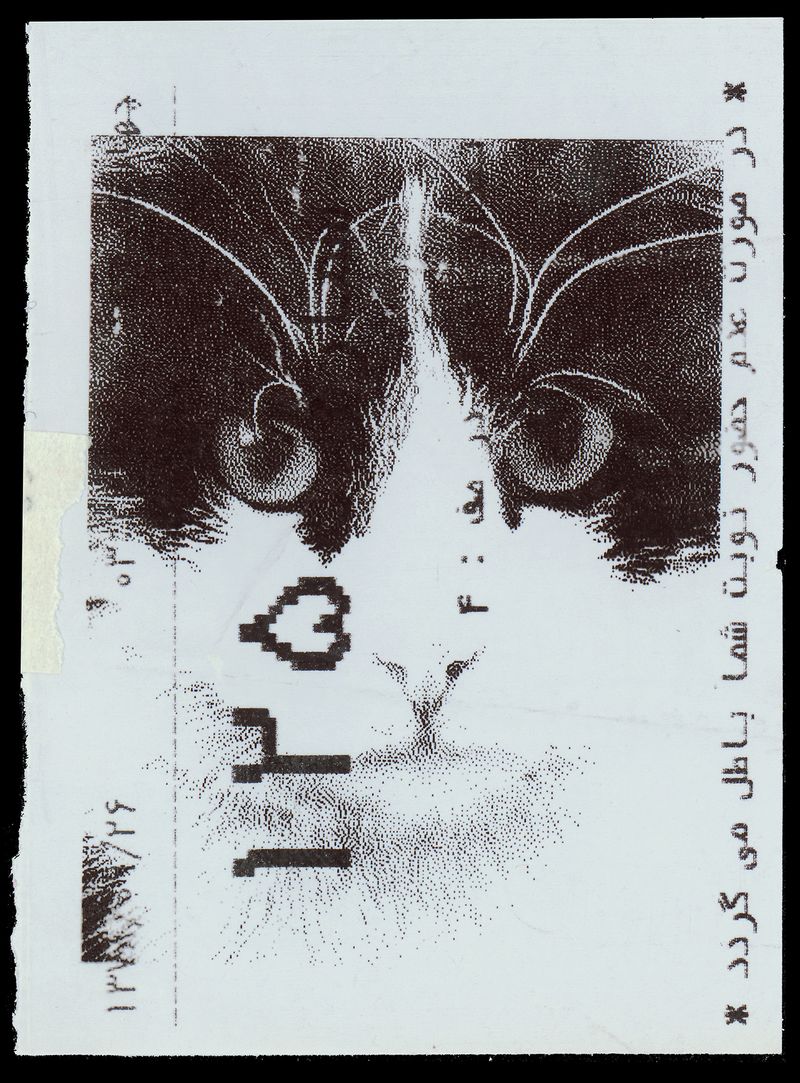 Tehran Cat N8