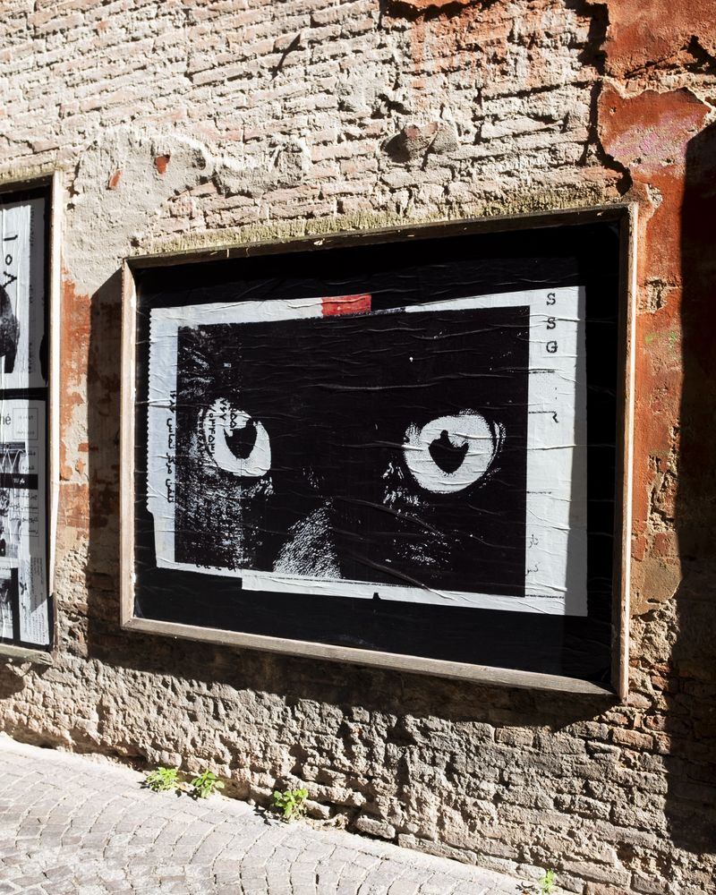 Image from a project on PhMuseum