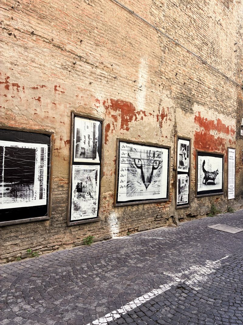 Image from a project on PhMuseum