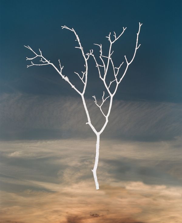 Image from a project on PhMuseum