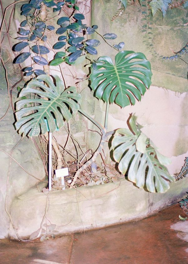 Image from a project on PhMuseum