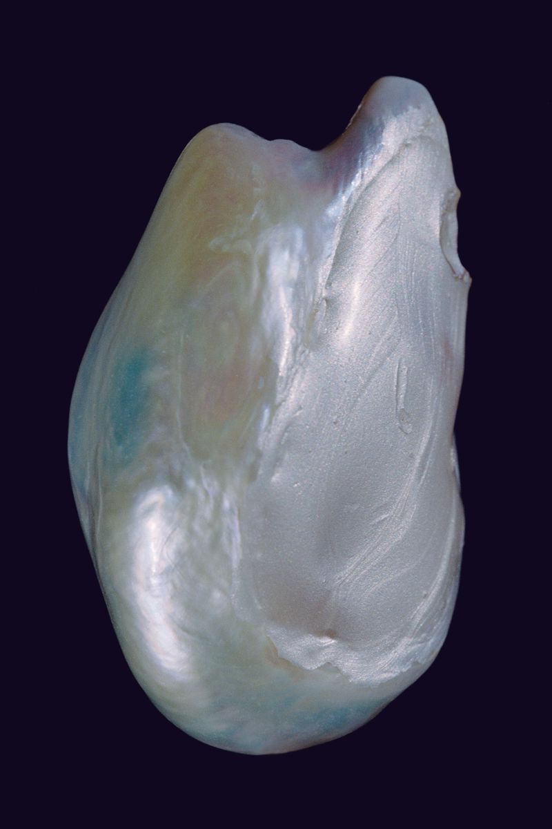 Image from a project on PhMuseum