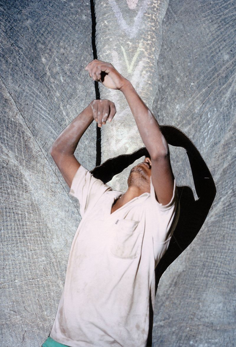 Image from a project on PhMuseum