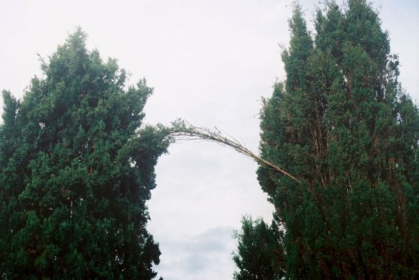 © Fernanda da Motta