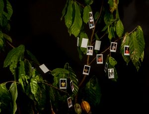 Harmattan - Togo Photo Festival 2025