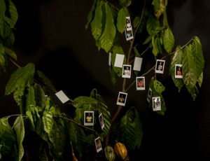 Harmattan - Togo Photo Festival 2025