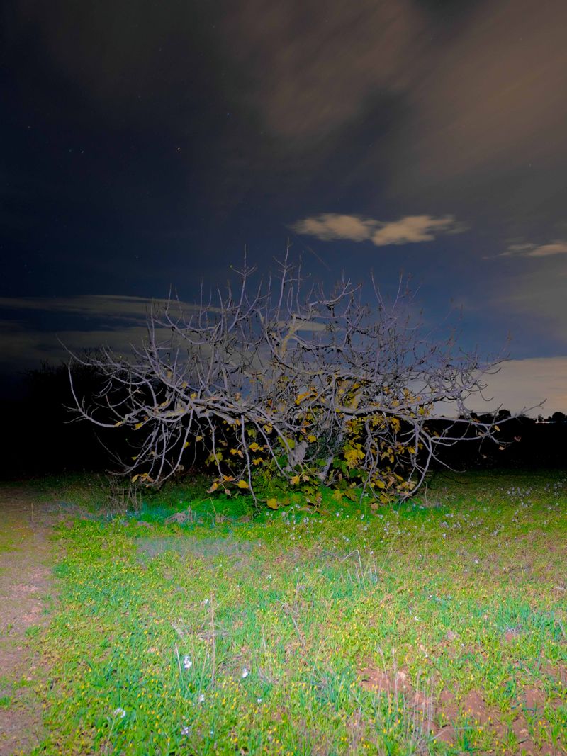 © Mirko Ostuni