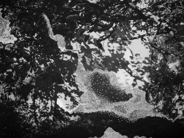 © Clara Chichin and Sabatina Leccia, sun/sun éditions