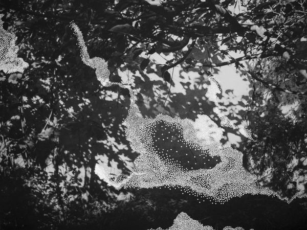 © Clara Chichin and Sabatina Leccia, sun/sun éditions