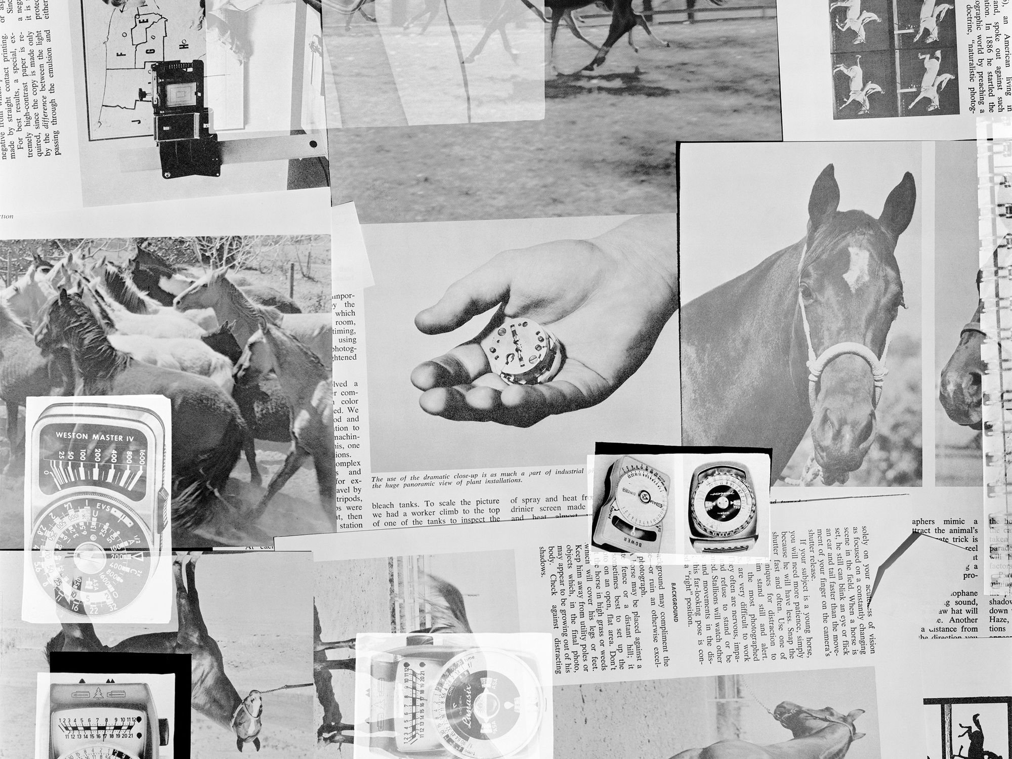 PhMuseum 2026 Photography Grant