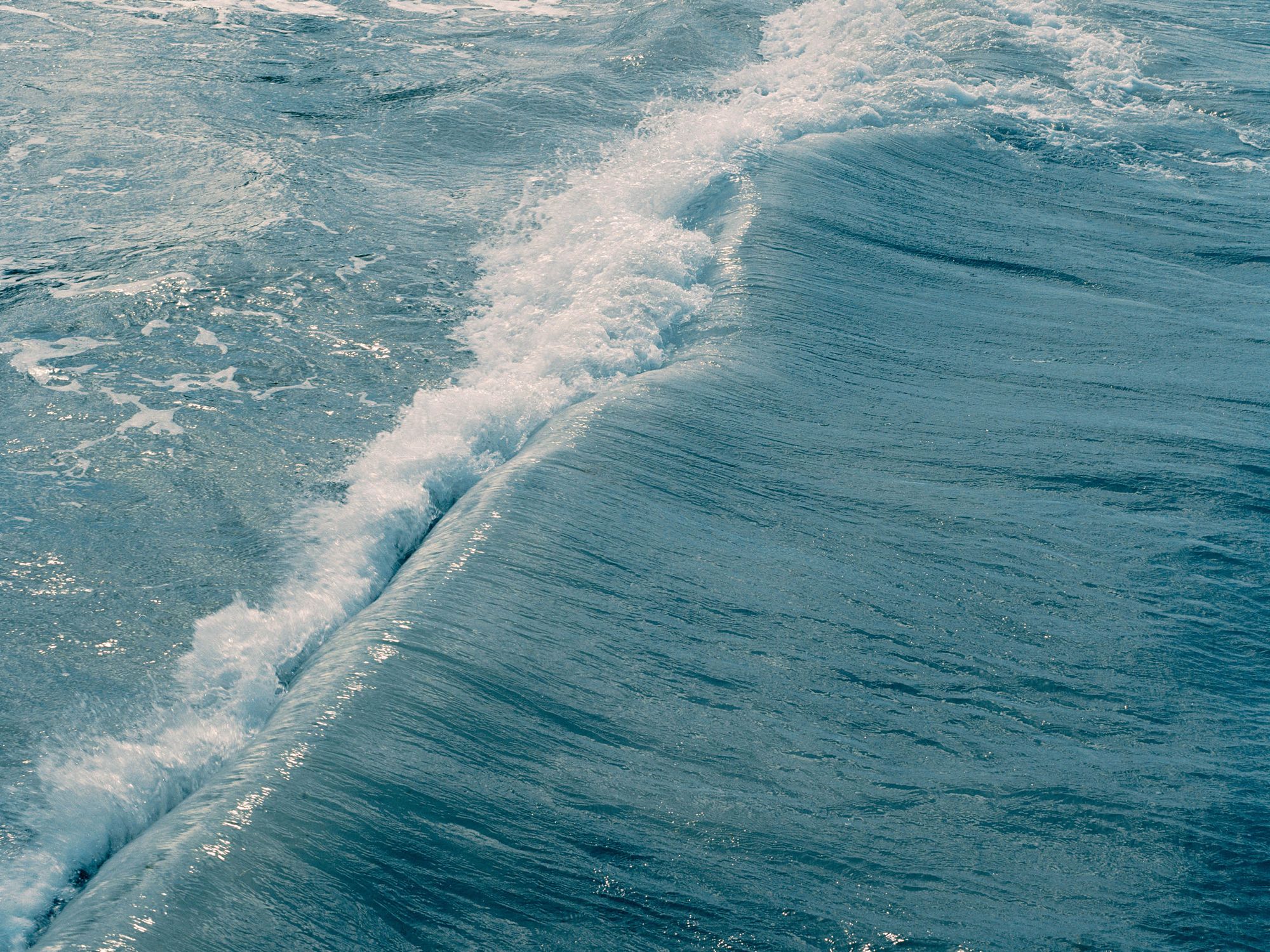 PhMuseum 2023 Women Photographers Grant